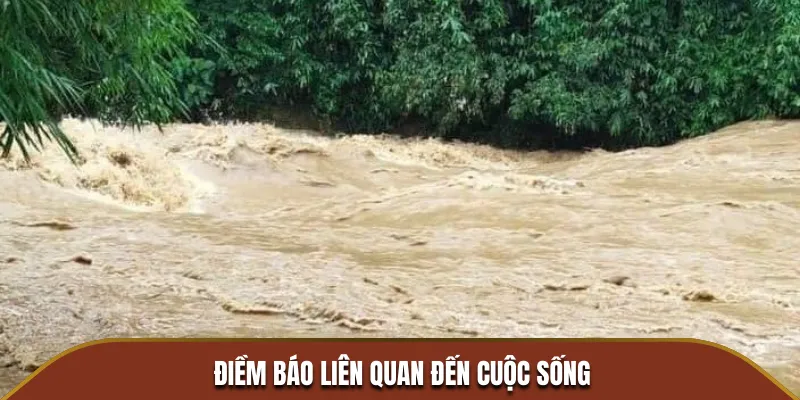 Giấc mơ thấy nước - Điềm báo liên quan đến cuộc sống