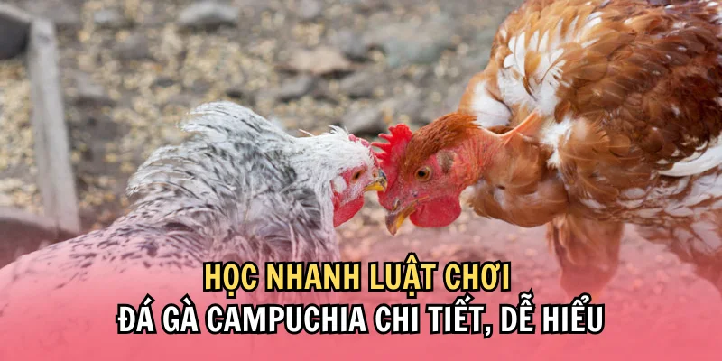 Các hình thức đá gà Campuchia được ưa chuộng