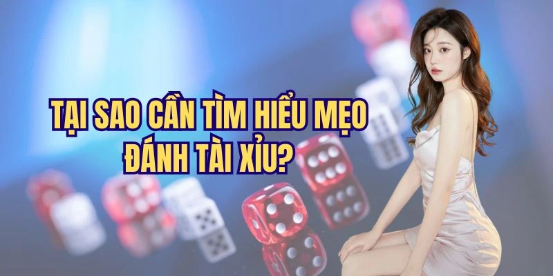 Lý do gì nên tìm hiểu mẹo chơi tài xỉu?