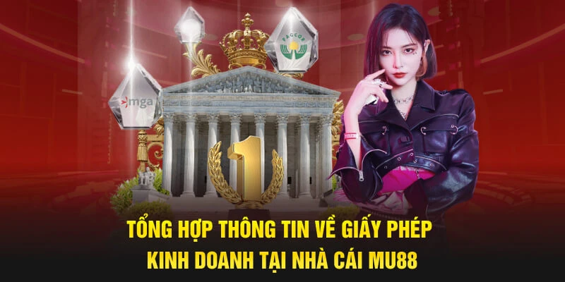 Vài nét về giấy phép hoạt động MU88